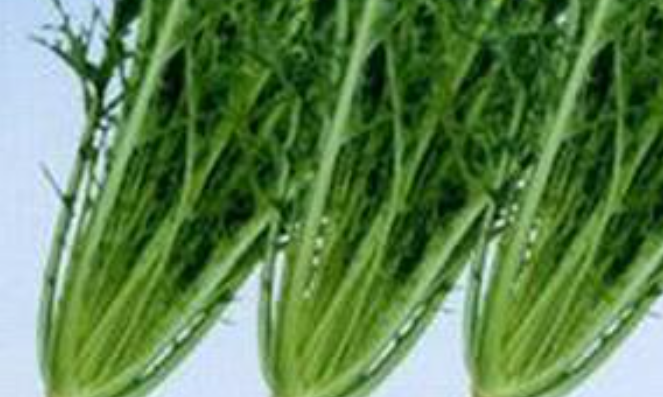 雪里红是什么蔬菜?雪里红怎么做好吃?-母婴网